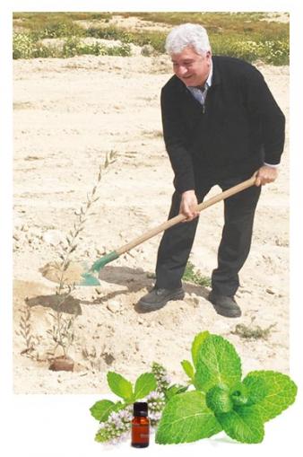 MANGHEBATI, productor de extractos de plantas