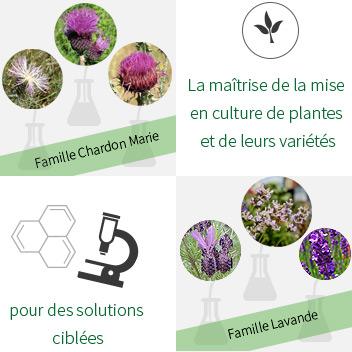 Variantes botánicas focalizadas para preservar mejor la inmunidad animal